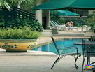 Swimming-pool