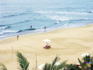 Пляж курорта  Sea Lion Resort
